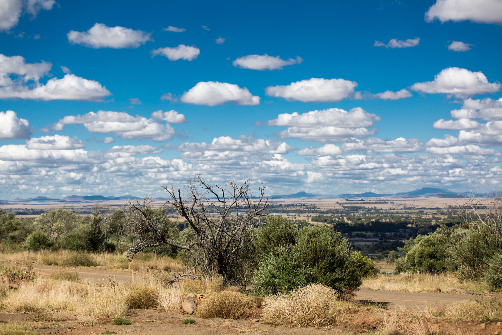 Aussicht vom Naval Hill