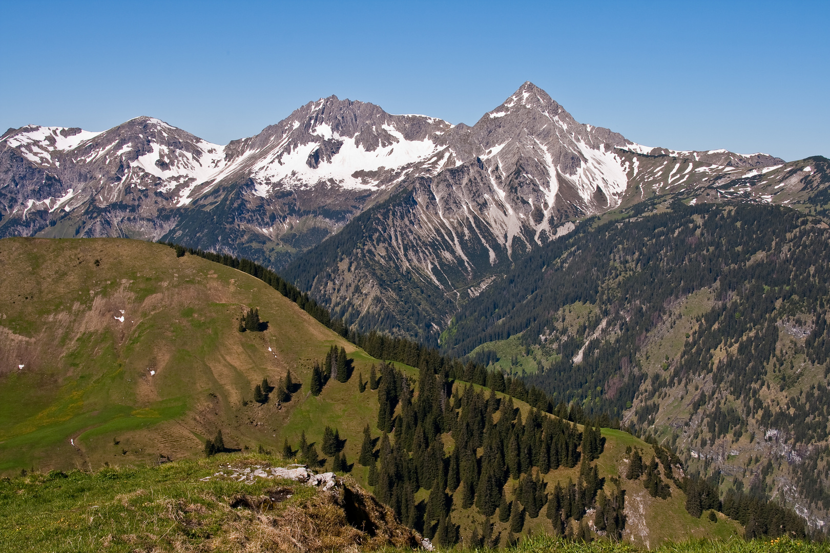 Aussicht vom Neunerköpfle