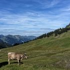 Aussicht vom Pragelpass