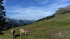 Aussicht vom Pragelpass