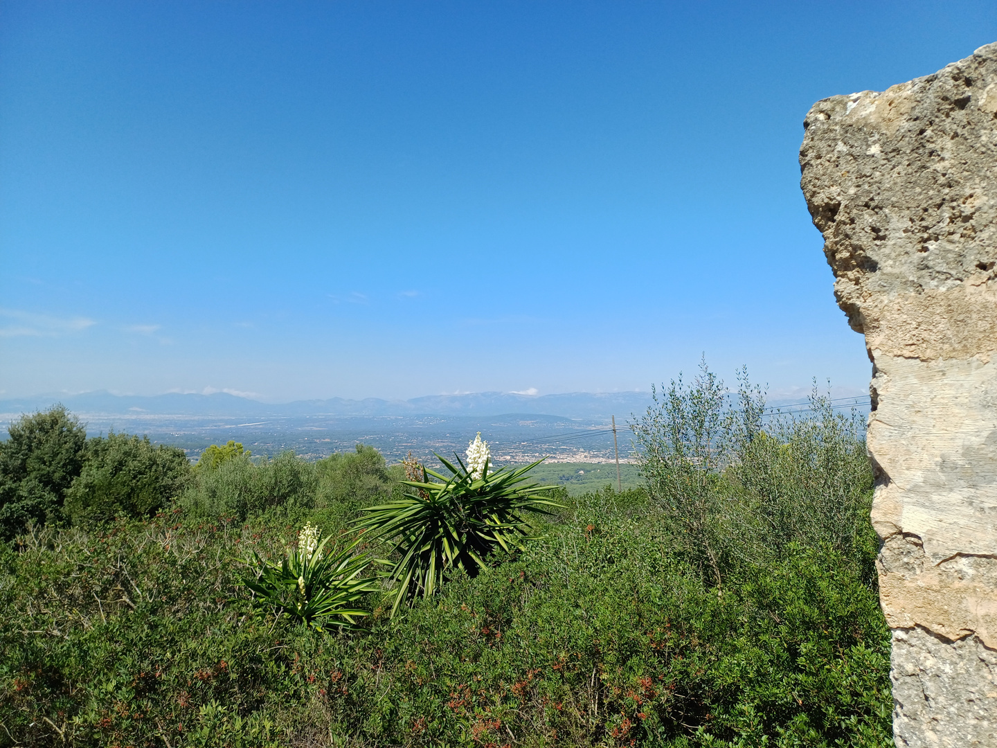 Aussicht vom Puig de Randa