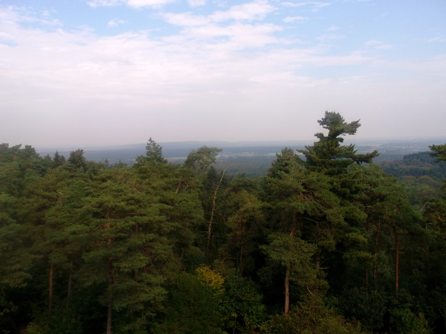 Aussicht vom Rennberg Feuerwachturm im Herbst