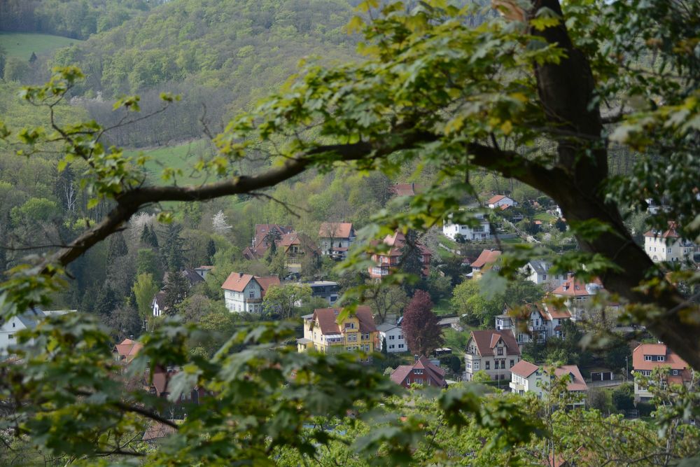 Aussicht vom Schloss Wernigerode