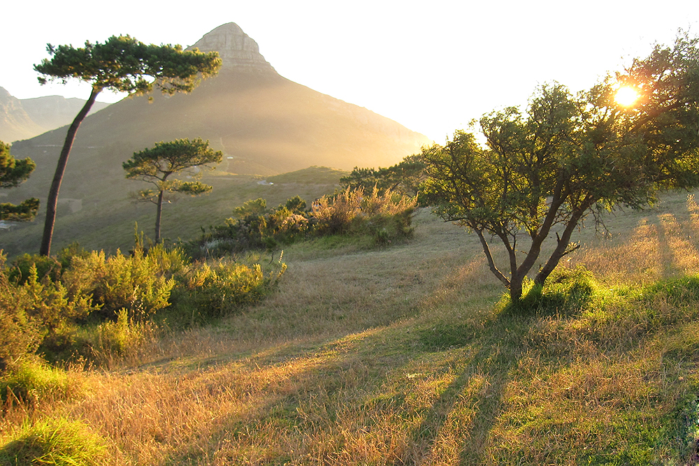 Aussicht vom Signal Hill