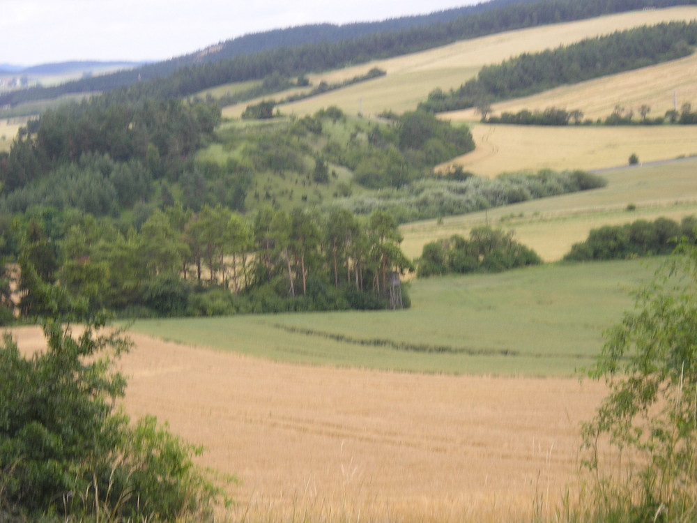 Aussicht vom Singer Berg