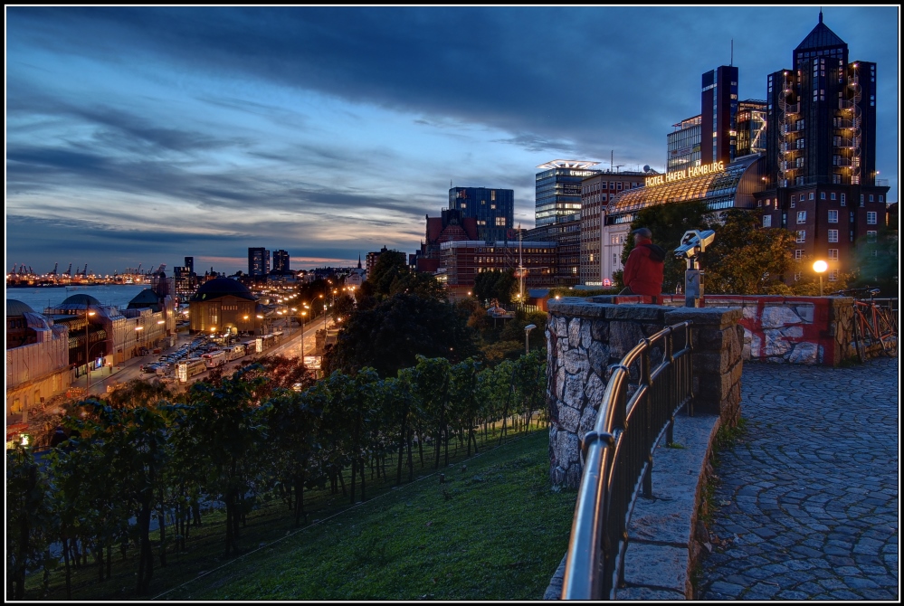 Aussicht vom Stintfang