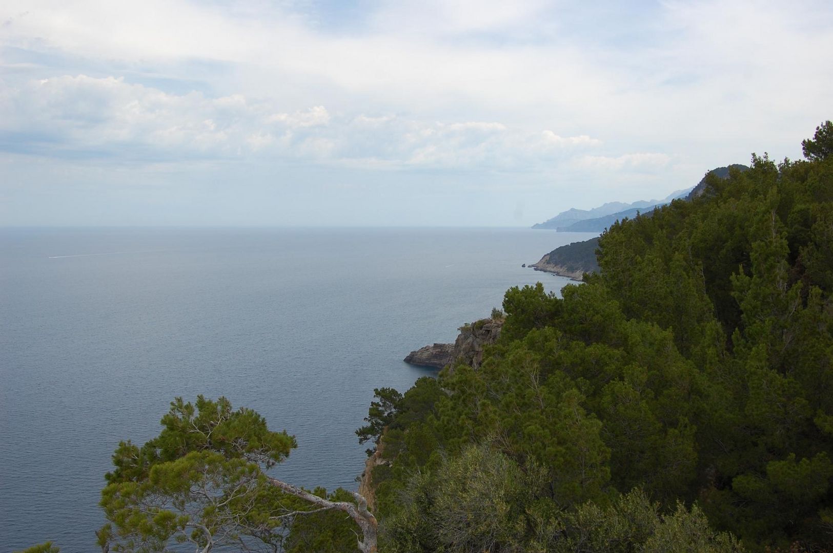 Aussicht vom Torre del Verger