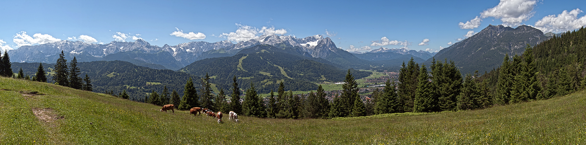 Aussicht vom Wank