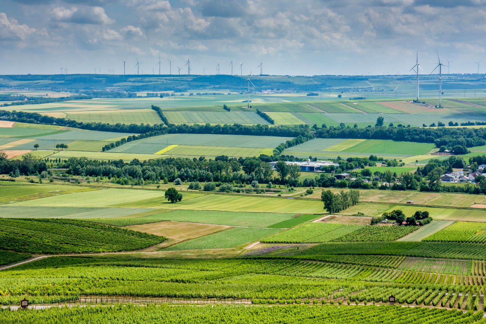 Aussicht vom Wißberg