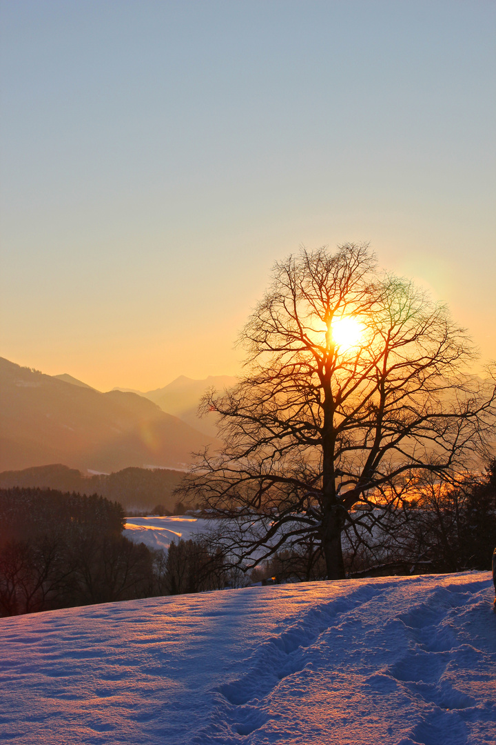 Aussicht von Daxlberg (Sonnenuntergang)