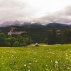 Aussicht von der Eckbaueralm