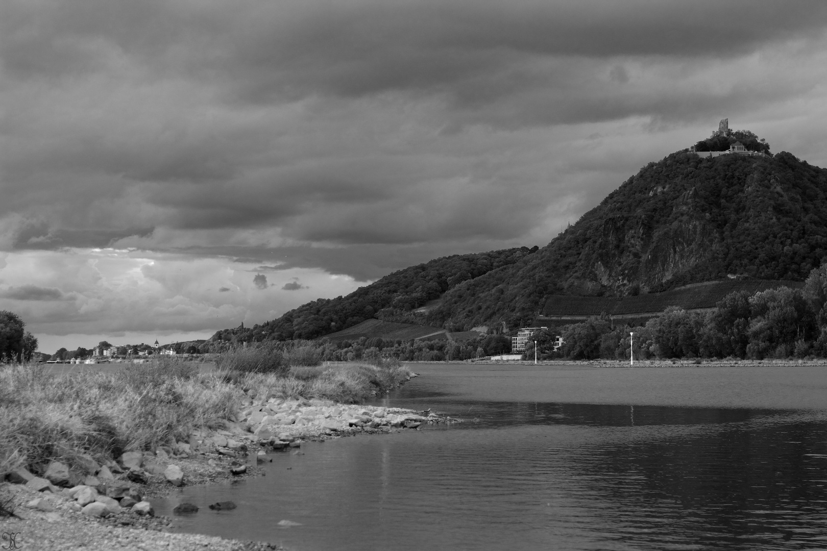 Aussicht von der Insel Grafenwerth