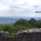 Aussicht von der Löwenburg