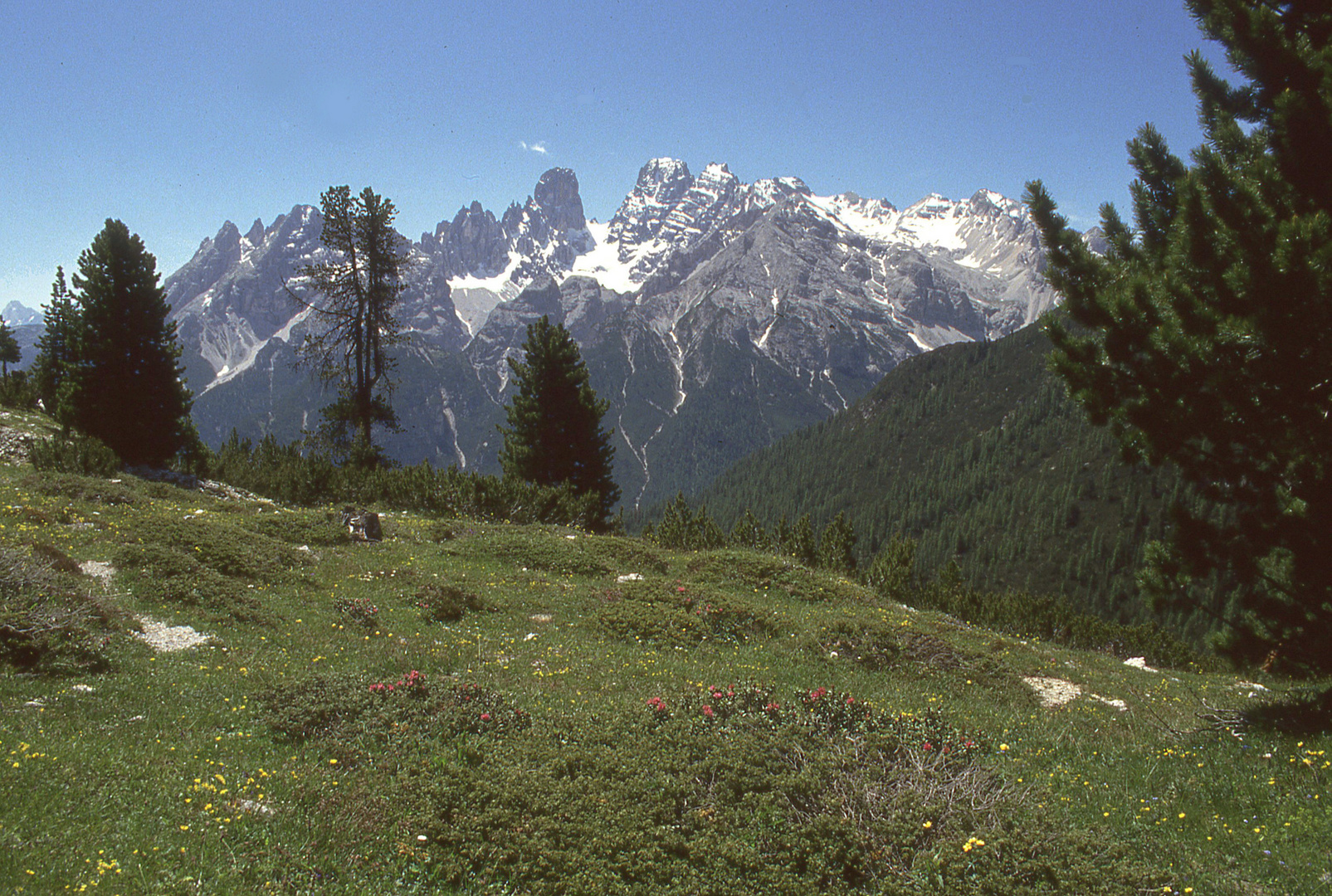 Aussicht von der Plätzwiese auf den Monte Cristallo