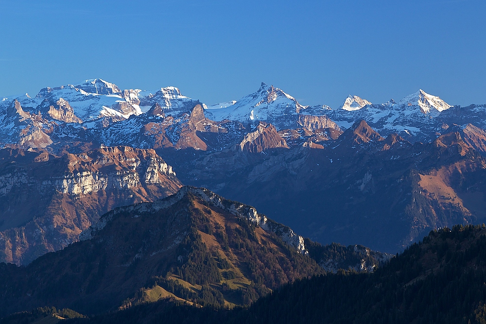 Aussicht von der Rigi