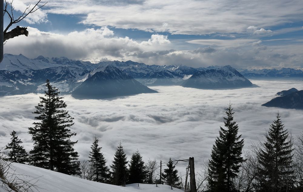 Aussicht von der Rigi - Scheidegg