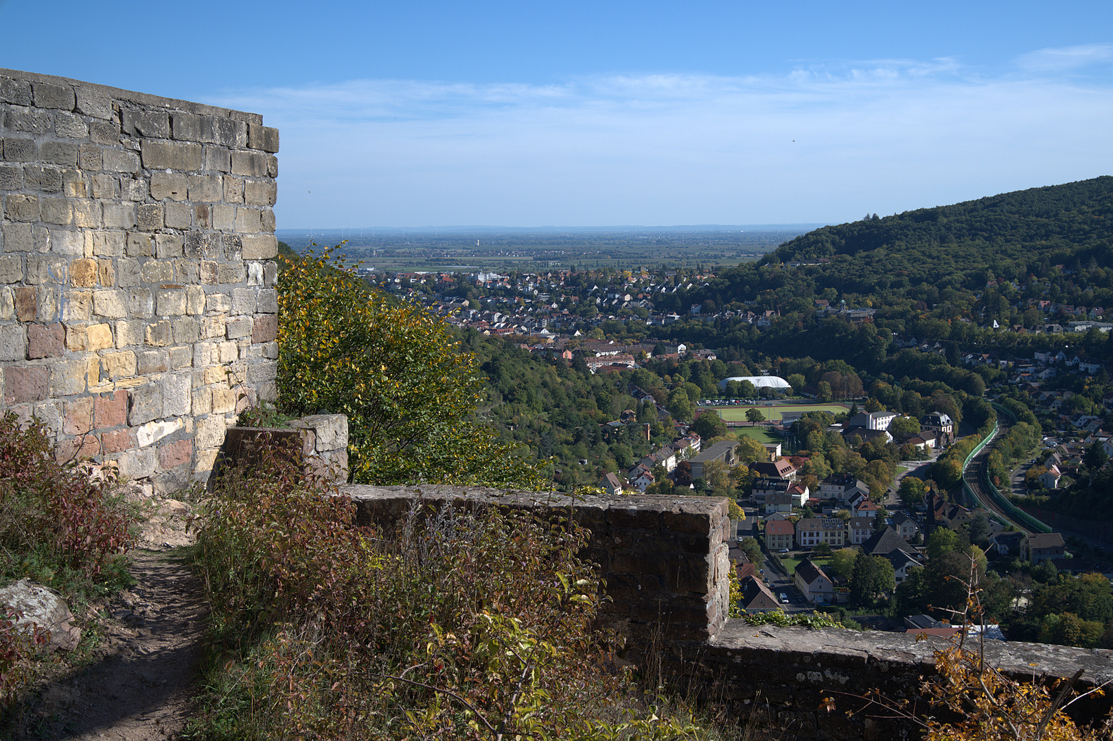 Aussicht von der Ruine Wolfsburg auf Neustadt (Weinstraße)