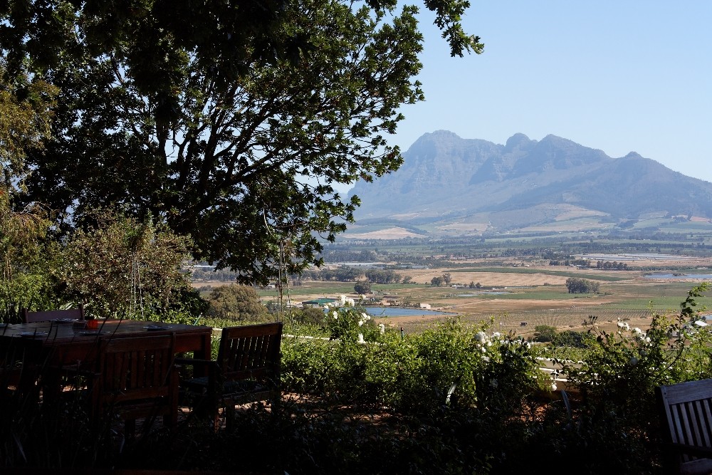 Aussicht von der Terrase im Weingut Seidelberg in Paarl