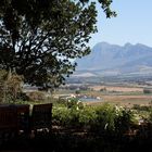 Aussicht von der Terrase im Weingut Seidelberg in Paarl