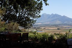 Aussicht von der Terrase im Weingut Seidelberg in Paarl