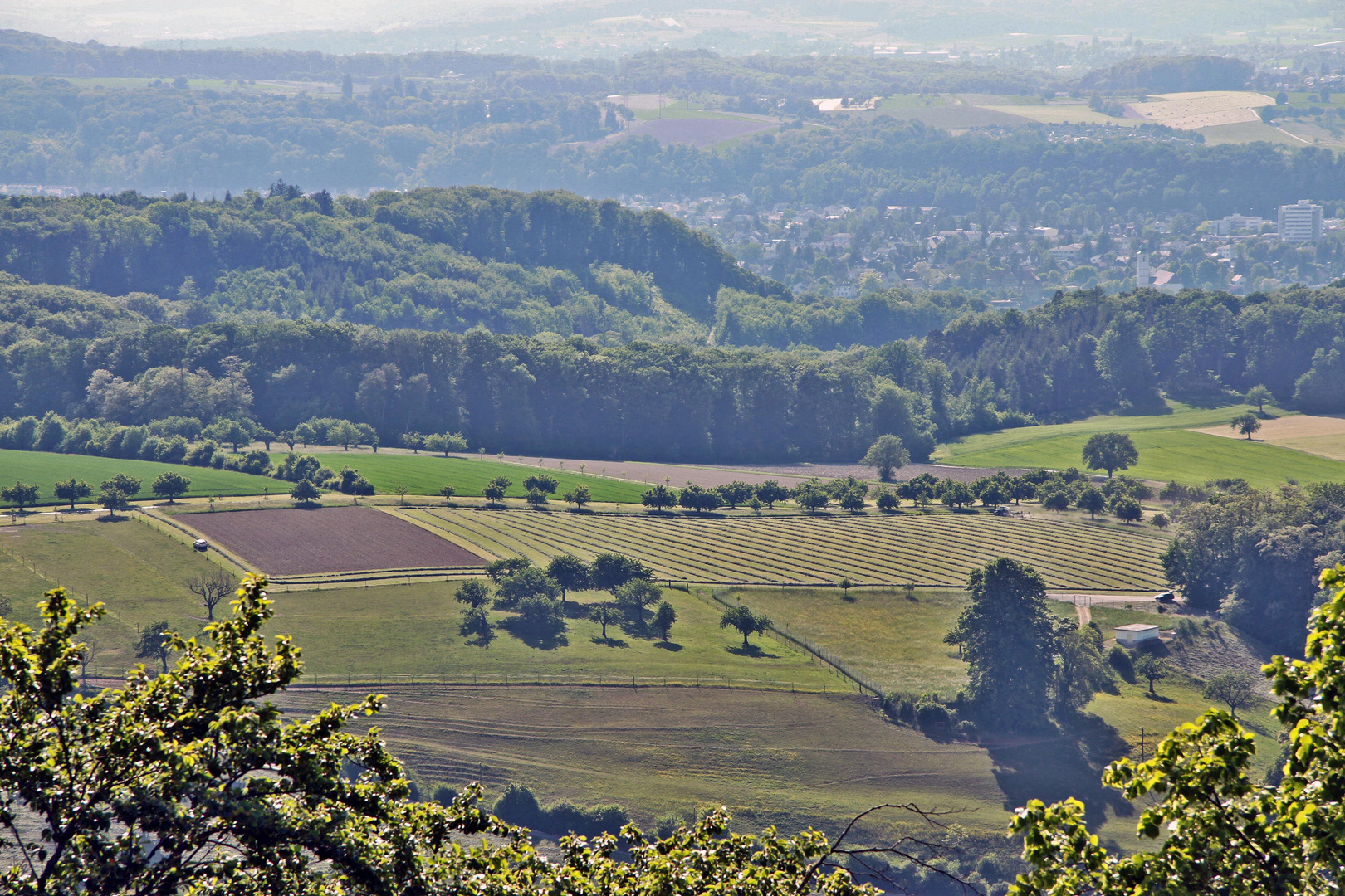 Aussicht von der Wartenburg Basel-Land