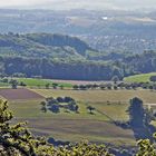 Aussicht von der Wartenburg Basel-Land