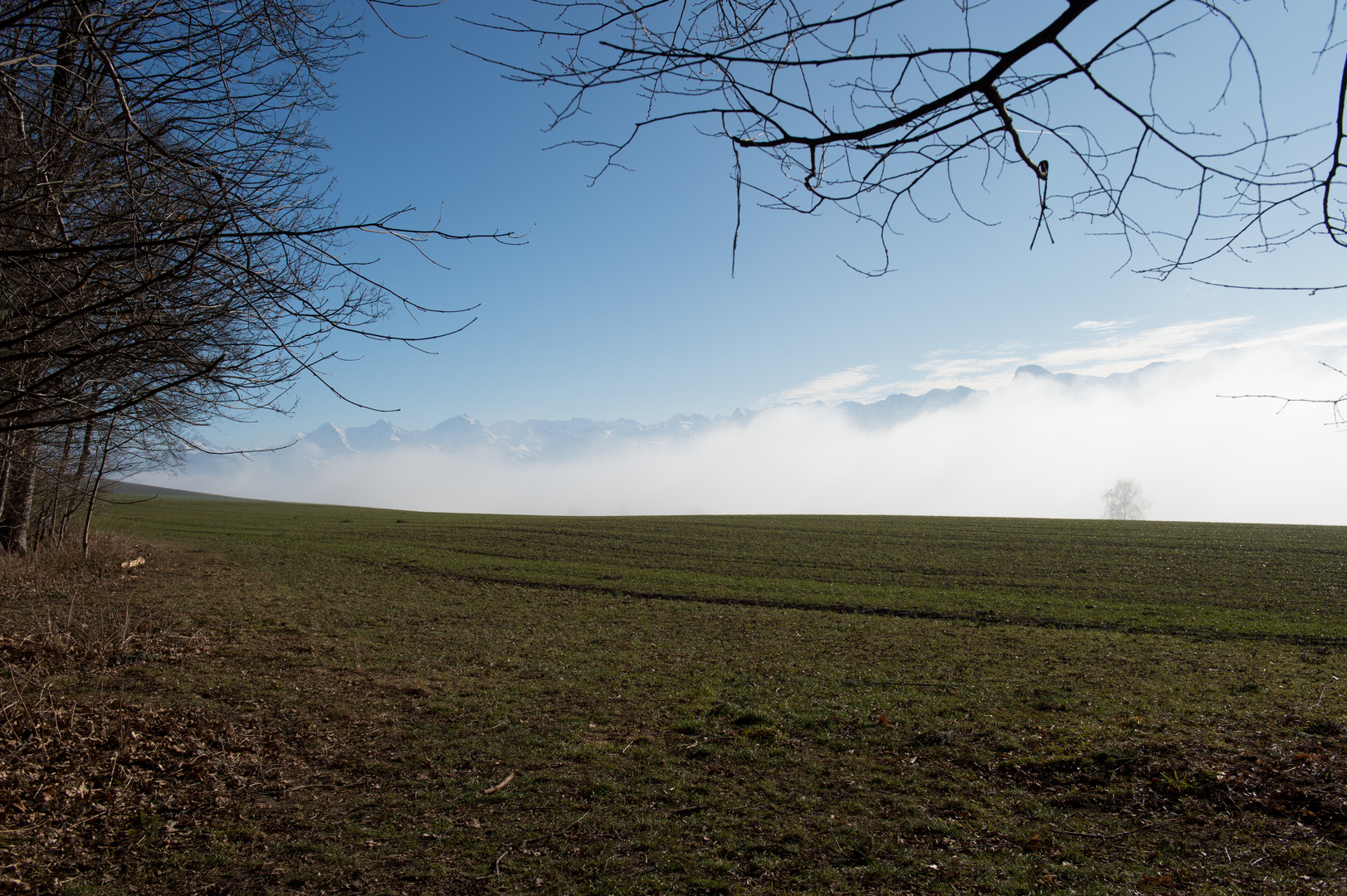 Aussicht von Grillstelle Thanwald Rüeggisberg 14.01.2018