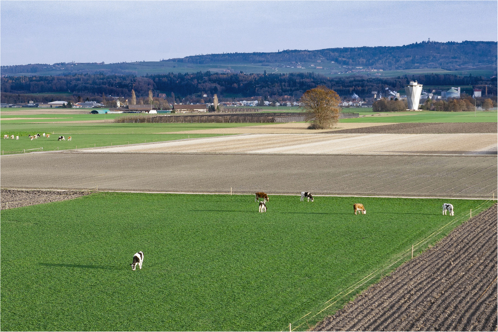 Aussicht von meinem Balkon