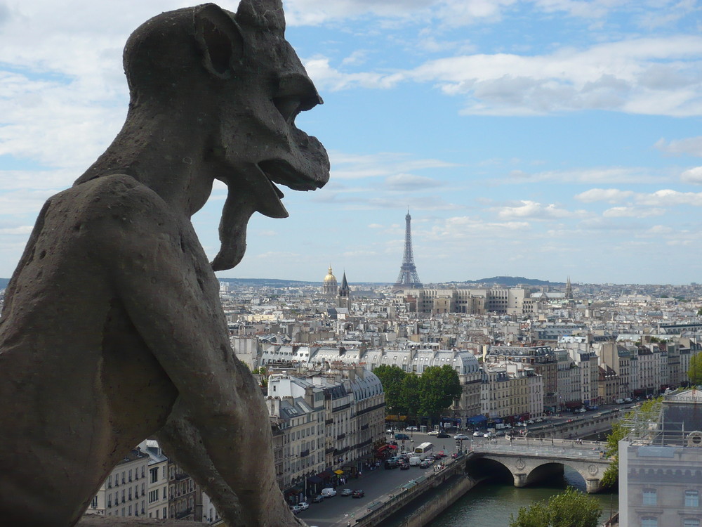 Aussicht von Notre Dame