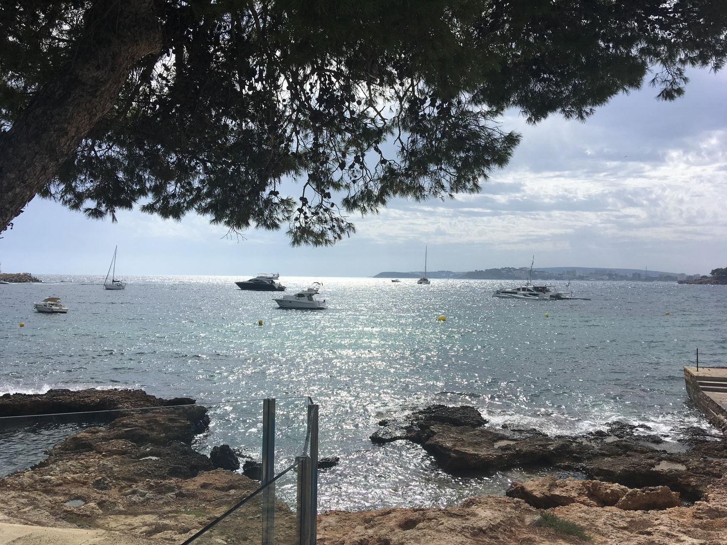 Aussicht von Playa Punta Portals Mallorca