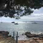 Aussicht von Playa Punta Portals Mallorca