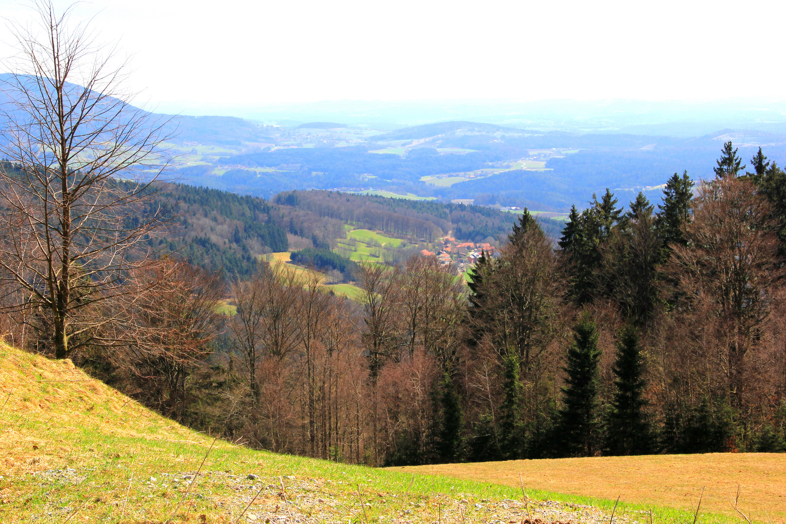 Aussicht von Rusel/Schaufling