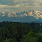 Aussicht - Weitsicht übers Pflaumdorfer Moos