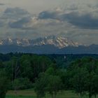 Aussicht - Weitsicht übers Pflaumdorfer Moos