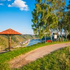 Aussicht Werlauer Pilz-St. Goar 97