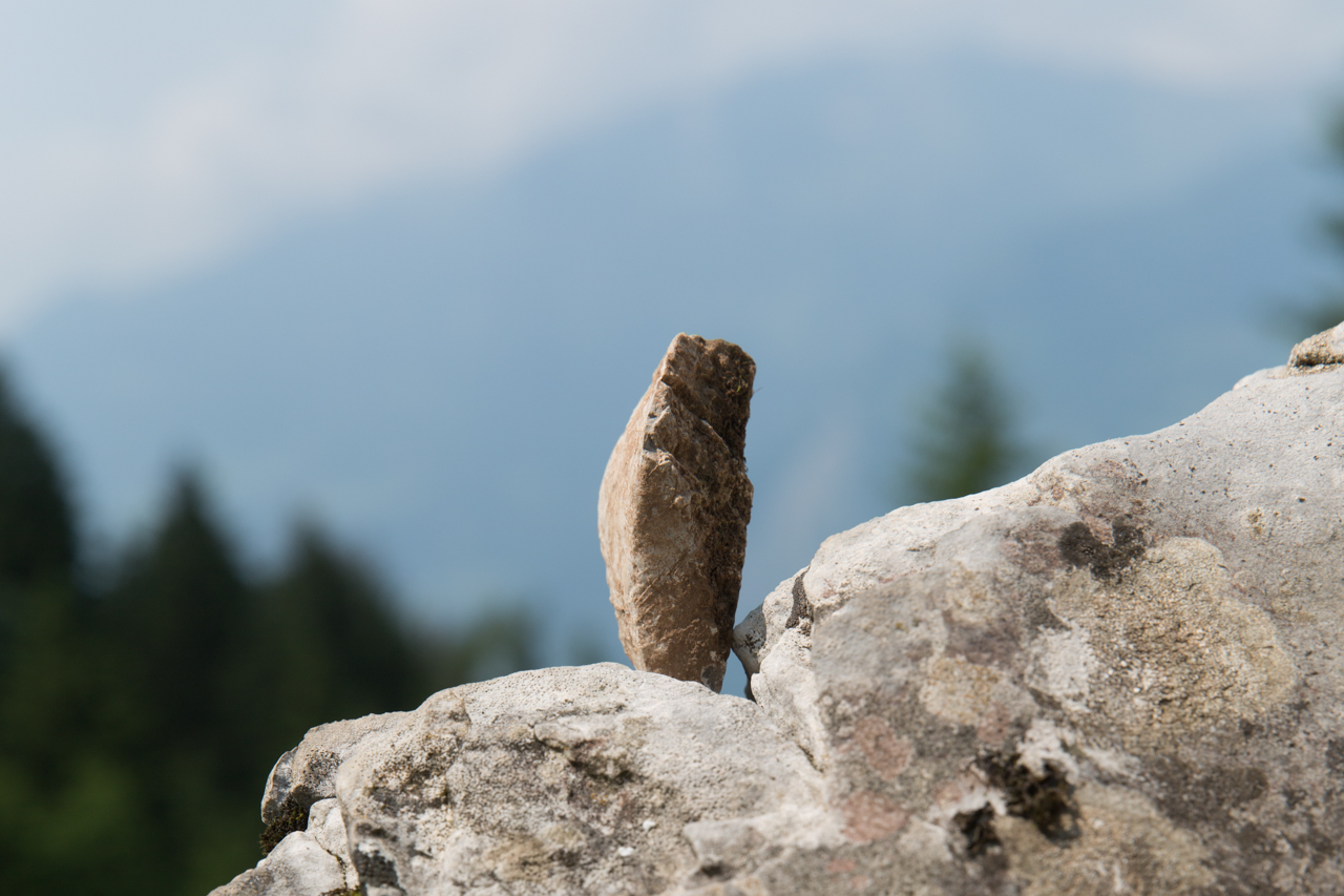 AUSSICHT zum ANLEHNEN