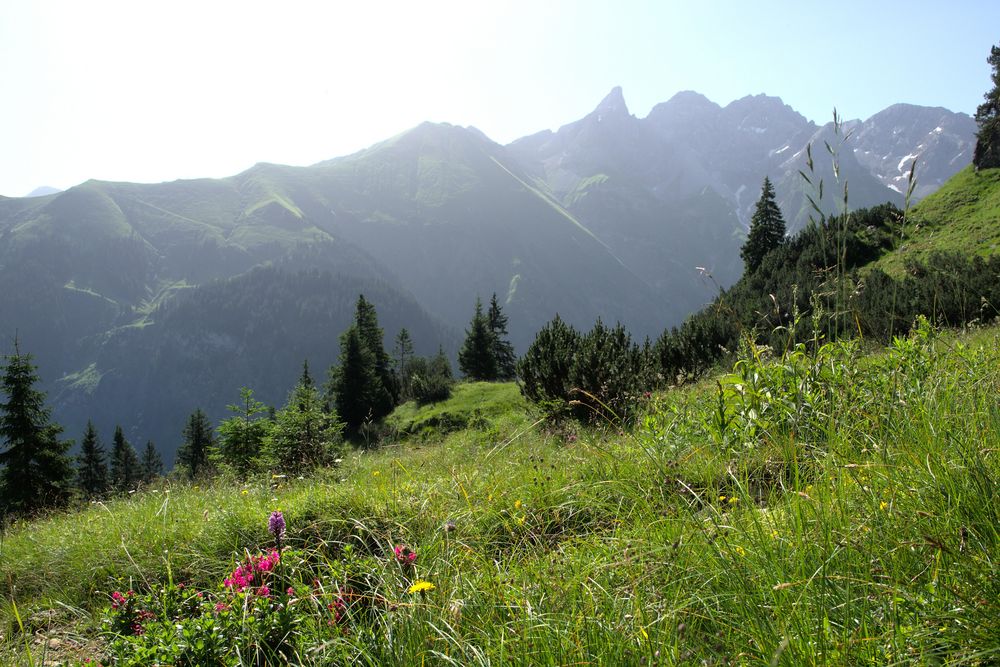 Aussicht zur Trettachspitze