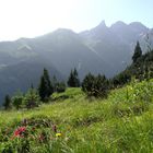 Aussicht zur Trettachspitze