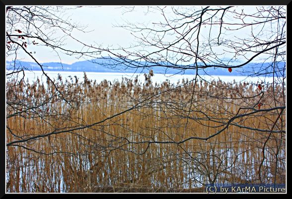Katja Strobel Fotos & Bilder Fotografin