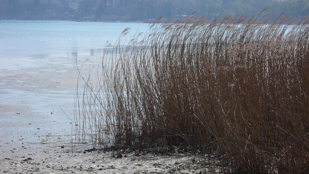 Aussichten am Bodensee / Blick von der Insel Mainau aus