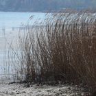 Aussichten am Bodensee / Blick von der Insel Mainau aus