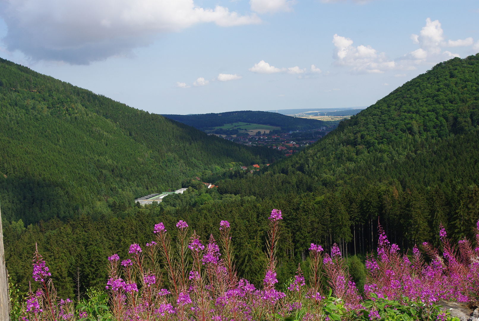 Aussichten im Harz...