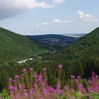 Aussichten im Harz...