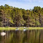 Aussichten - Nationalpark Trollskogen #02