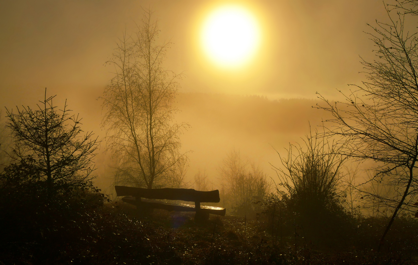 Aussichtlose Nebelbank - Take 1