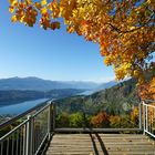 Aussichtsbalkon unterm leuchtenden Ahorn