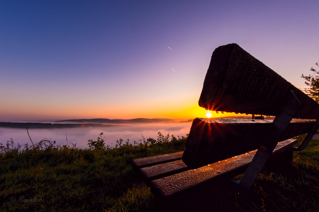 AUSSICHTSBANK IM MORGENLICHT