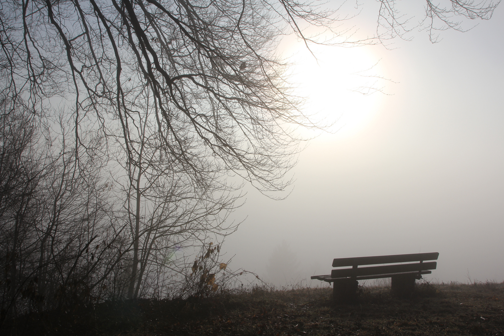 Aussichtsbank im Nebel