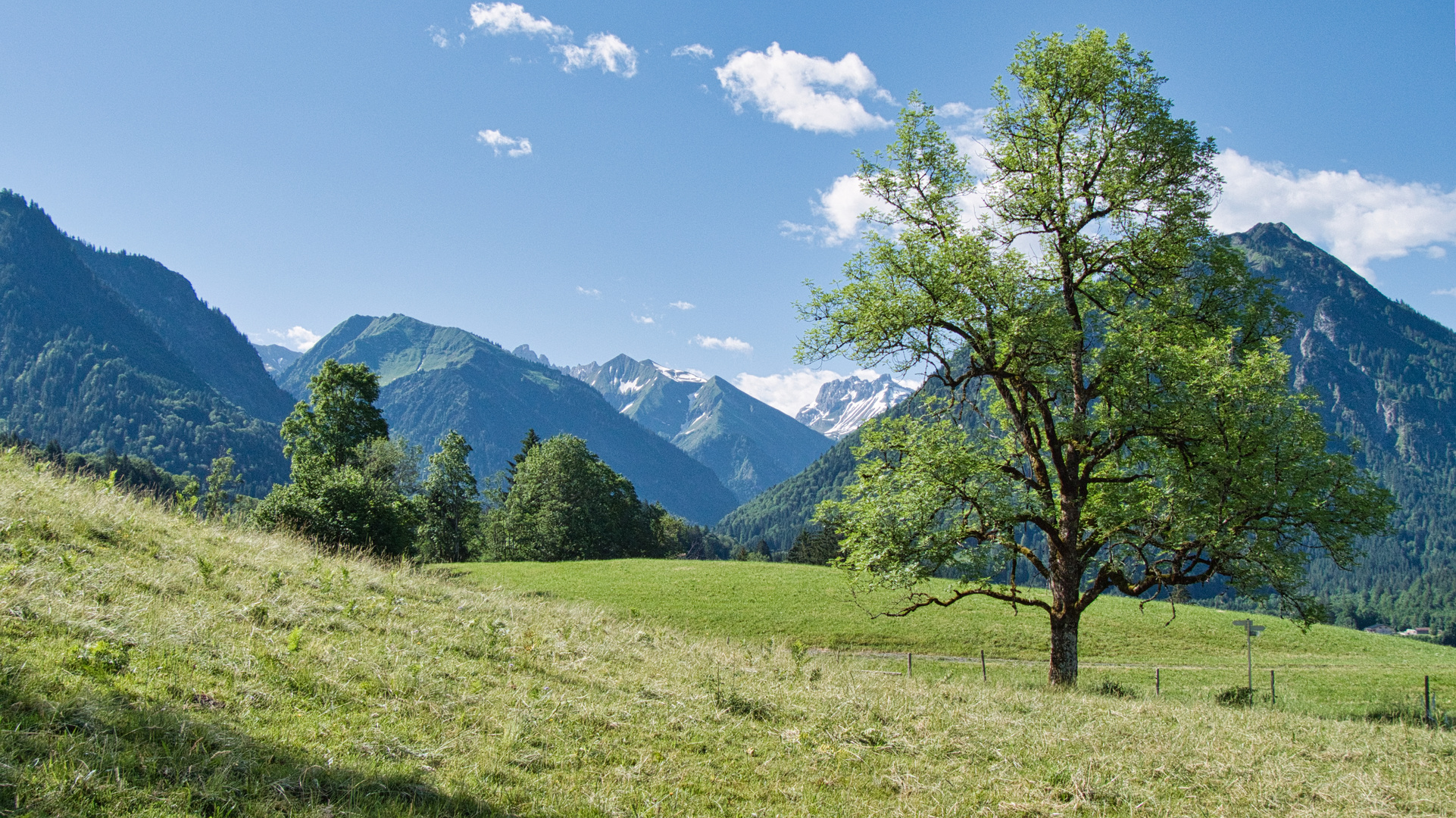 Aussichtsbuckel