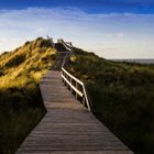 Aussichtsdüne - in top of the dune